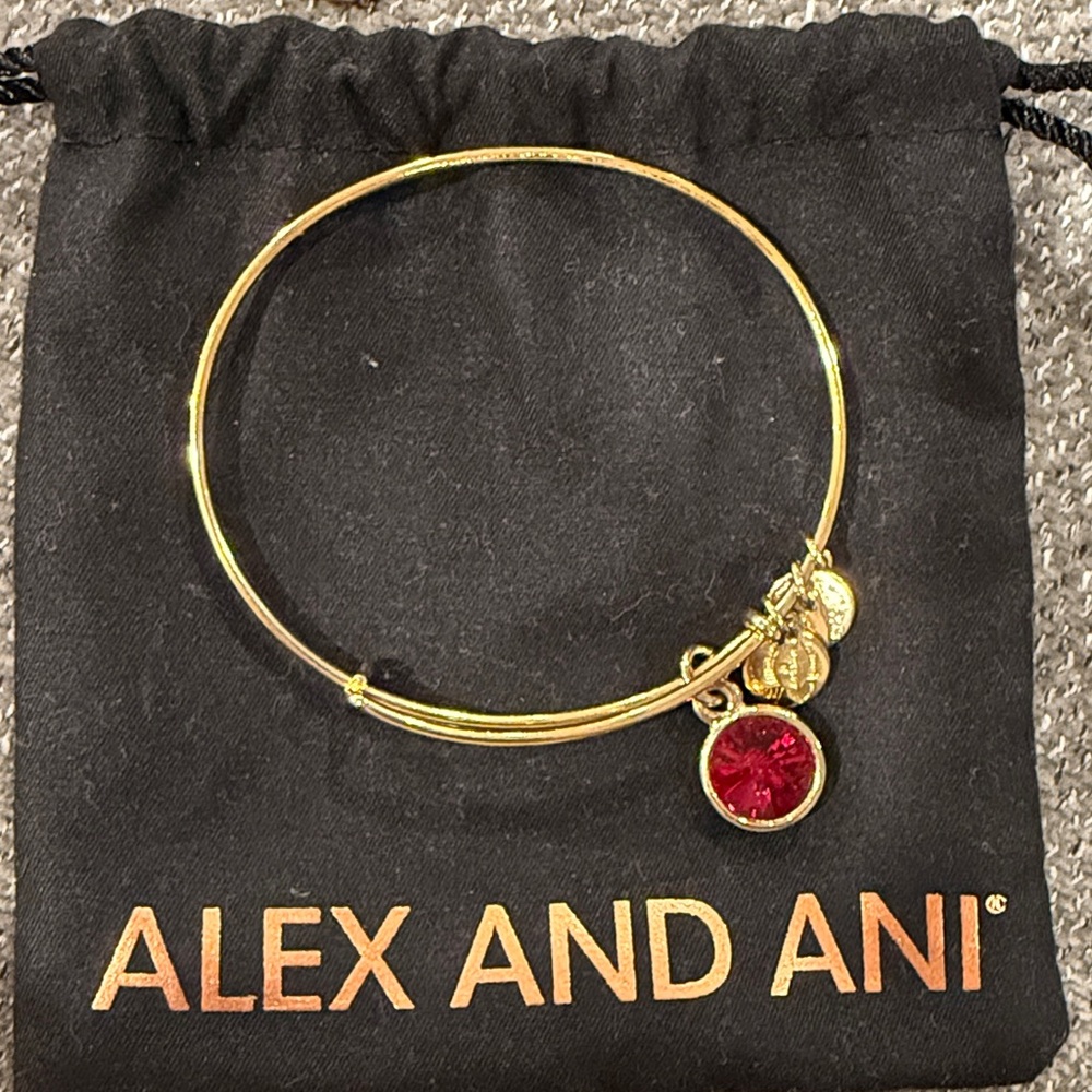 Alex and Ani Gold Bracelet with Garnite Charm